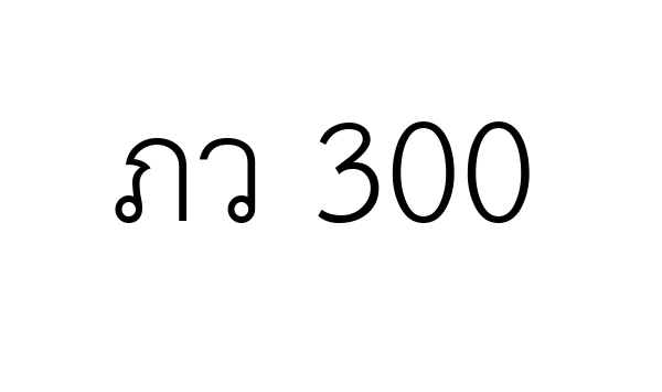ภว 300